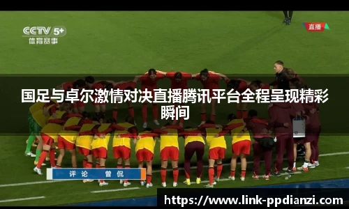 PP模拟器官网