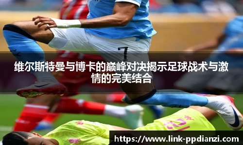 PP电子模拟器试玩在线
