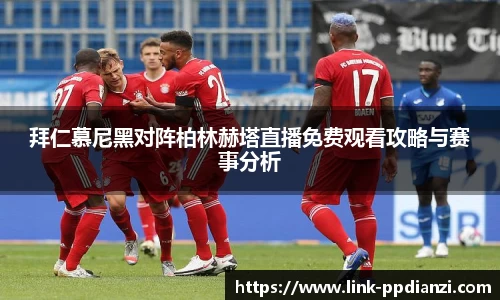 PP模拟器官网