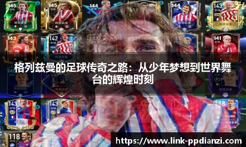 PP电子游戏官网