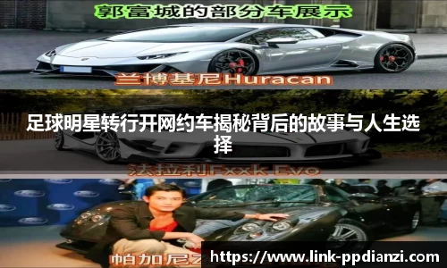 PP模拟器官网