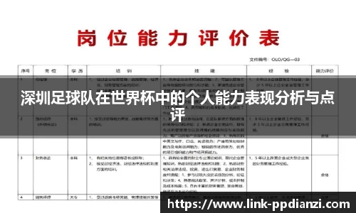 PP模拟器官网