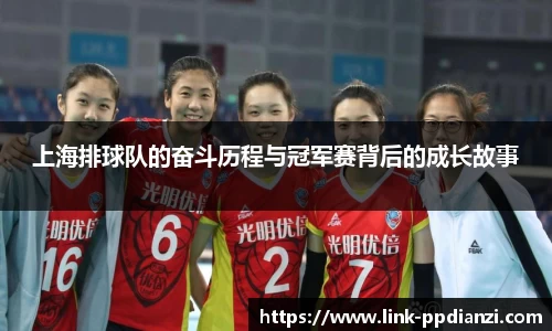 PP电子模拟器试玩在线