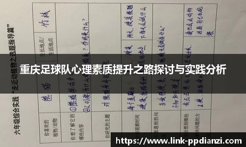 PP模拟器官网