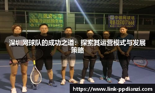 PP电子模拟器试玩在线